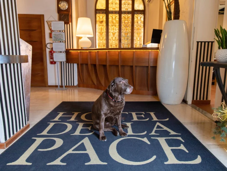 Nell'immagine un cane in reception